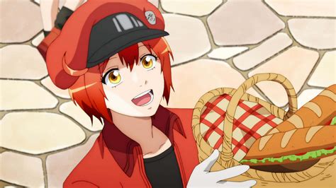 Download Healthy Red Blood Cell, Ae3803, On Duty Wallpaper | Wallpapers.com