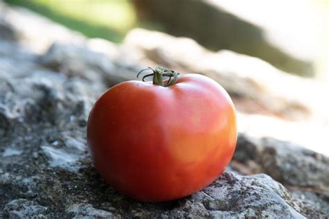 Camera ISO Explained 的图像结果