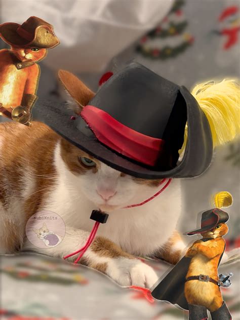 🎩 Puss in Boots Hat - Shrek Cat, Cartoon Hat for Cats・ STL File for 3D ...