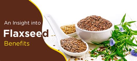8 Health Benefits of Flaxseeds: Nutrition & Uses – Organic Gyaan