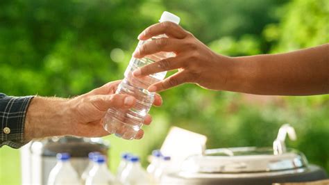 How Many Nutrients Does the Human Body Need? Expert Insights