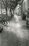 Image result for Rainy Day Sun