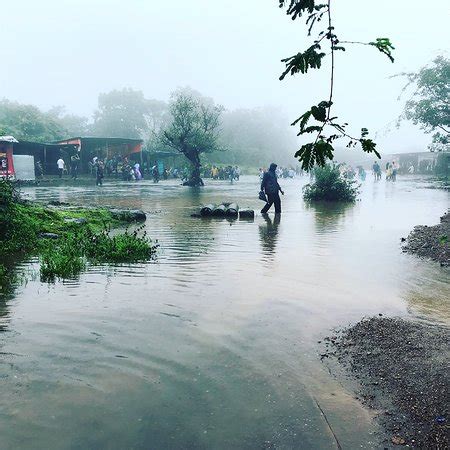 Bhushi Dam (Lonavala) - 2018 What to Know Before You Go (with Photos ...