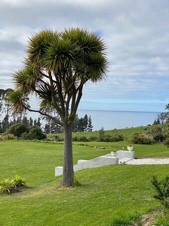 THE LONGHOUSE (Dunedin) - B&B Reviews & Photos - Tripadvisor