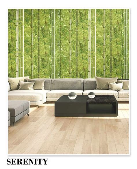 Serenity Bamboo in Forest Wallpaper Roll – Myindianthings