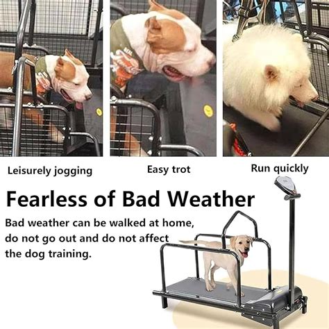 DPQYJPP Animal Treadmills, Dog Treadmills, Dog Slat India | Ubuy