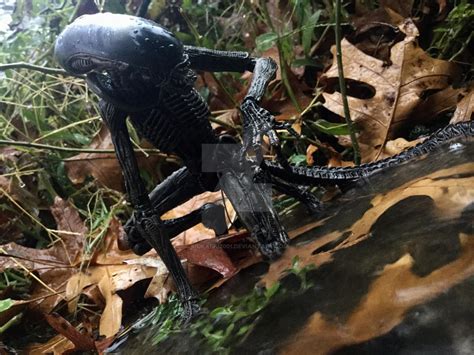 Alien Dog Drawing Cute 的图像结果