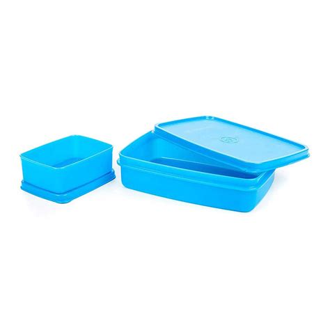 Compact Lunch Box (Small) – Signoraware
