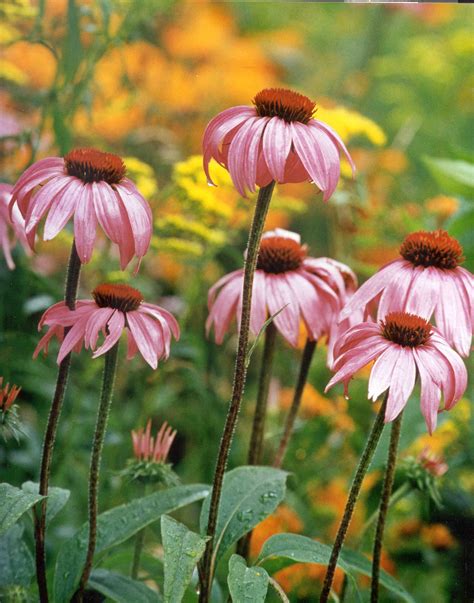 Retzer Nature Center | Waukesha County