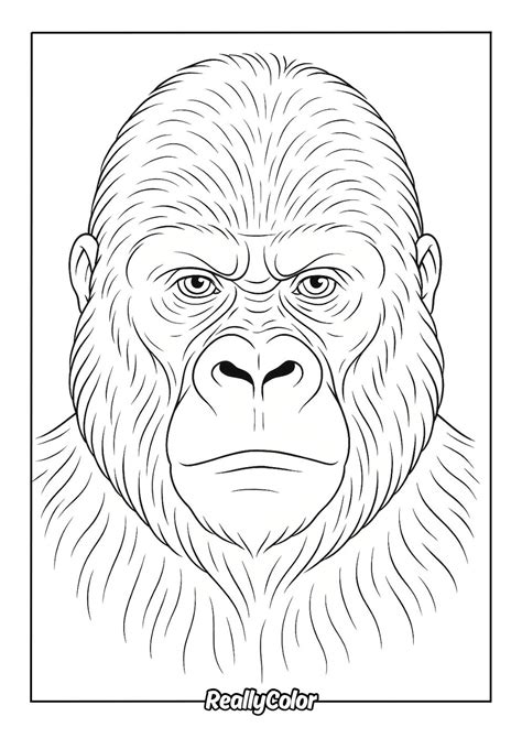 Free printable Gorilla coloring pages