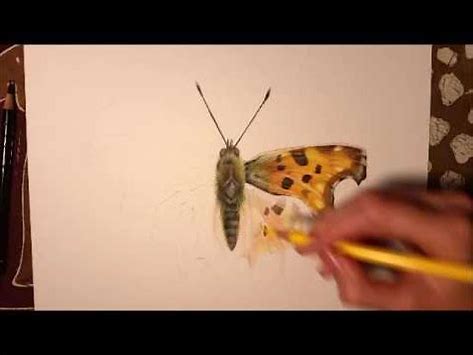 pencil sketch books free download pdf