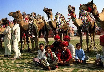 Kamel-Polo, Rajasthan, Indien