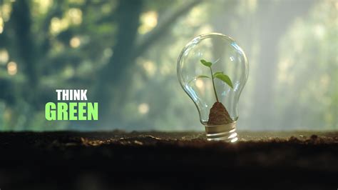 Ecology Examples 的图像结果