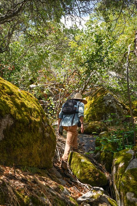 Horse Creek Campground in Kaweah Lake, California: Reviews and Photos ...