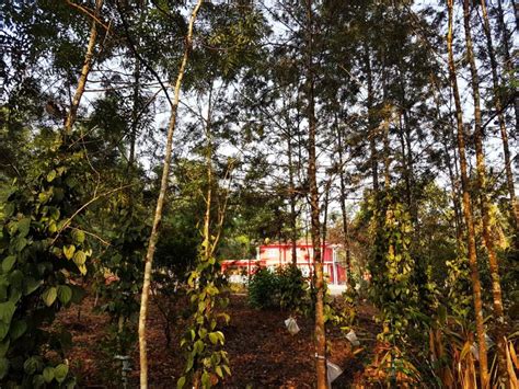 Moggu Homestay, Chikmagalur - Homestay Advisor