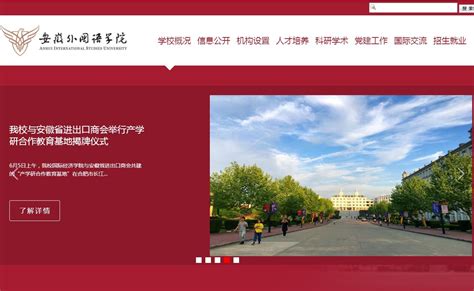 2023年安徽外国语学院高考录取结果查询官网网址入口