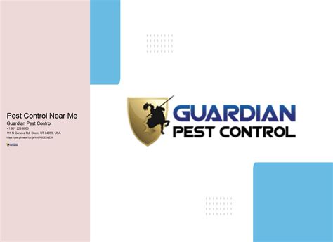 Pest Control Near Me