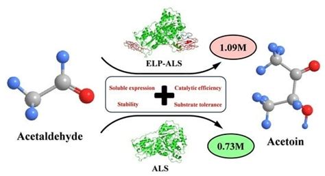 Improvement of Soluble Expression, Stability, and Activity of ...