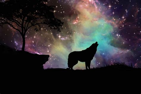 Download Hd Wolf Galaxy Wallpaper | Wallpapers.com