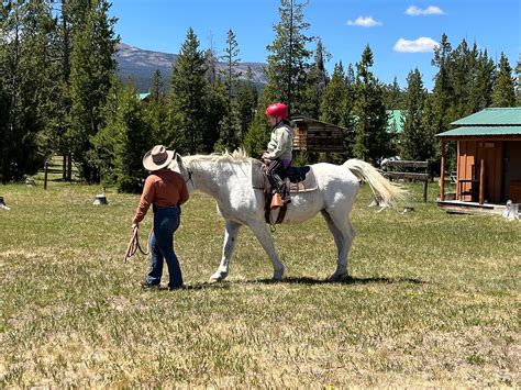 TRIANGLE C RANCH (Dubois, Wyoming) - Ranch Reviews & Photos - Tripadvisor