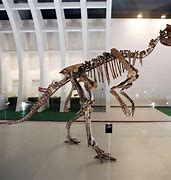 Image result for Paleontological
