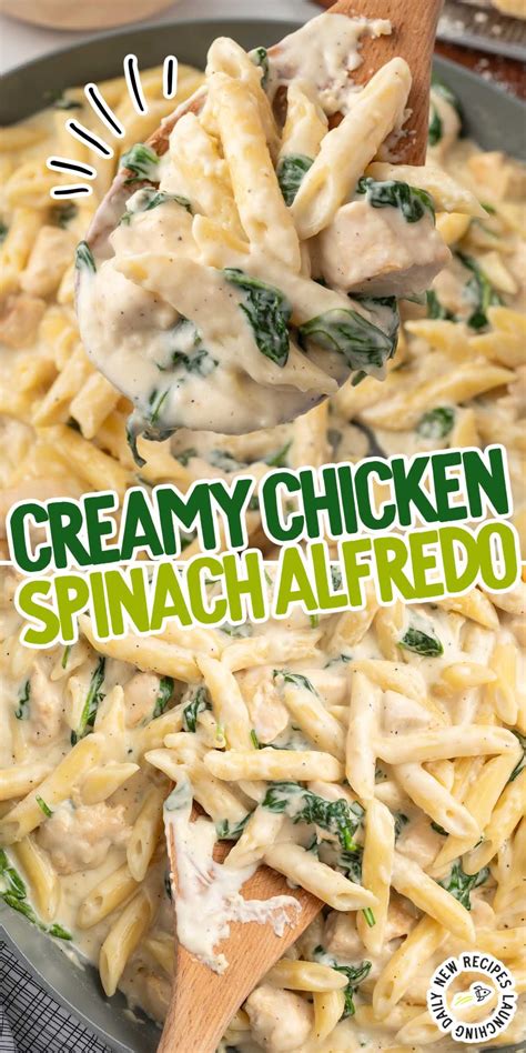 Chicken Spinach Alfredo | Chicken alfredo recipes, Chicken alfredo ...