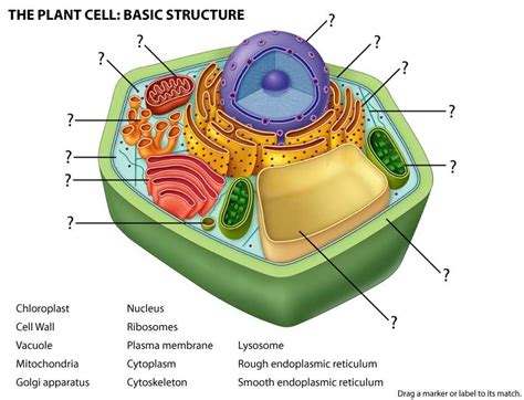 Nature Science Cell 的图像结果
