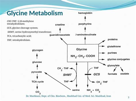 3 Nonketotic Hyperglycinemia educational.pptx