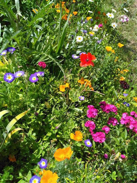 Fête des Plantes de Pompadour - 20 et 21 Septembre !, Hippodrome de ...