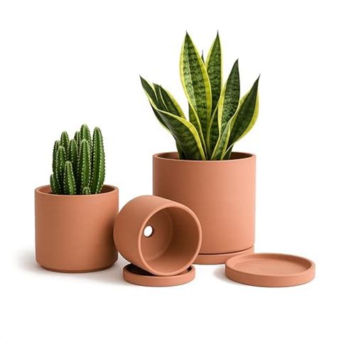 D'vine Dev Earthenware Round Cylinder Planter Pots with Drainage Hole ...