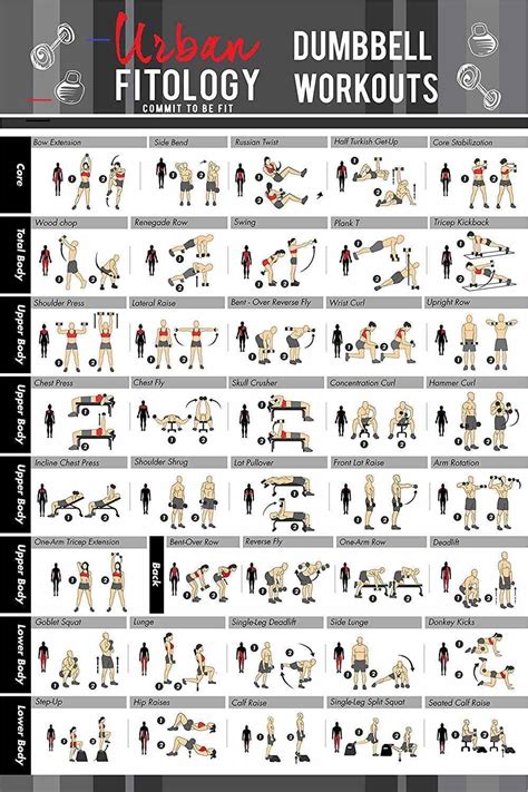 gym workout guide
