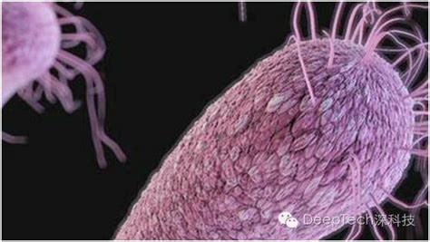 传染细菌病毒图片素材-正版创意图片500812577-摄图网