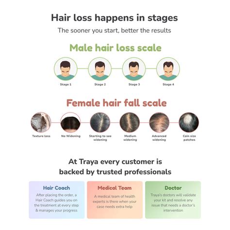 Norwood Scale - 7 Stages of Hair Loss – Traya