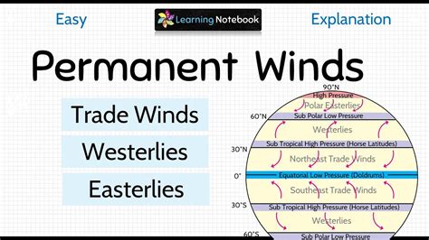 Tradewinds Examples 的图像结果