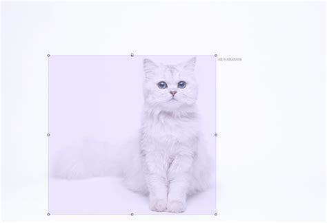 Image result for What Is Data Annotation