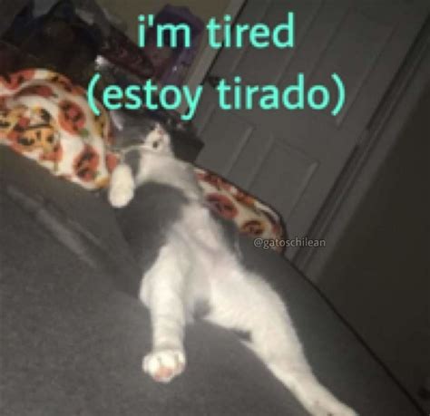 Memes Tirado Imagenes Comicas: Si Quieres El Palo, ¿entonces Para