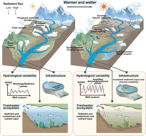 Freshwater Ecosystem Pictures