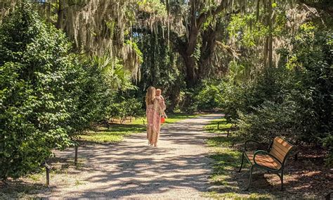 The 15 Best Things to do in Seattle in March – Wandering Wheatleys