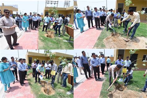 Tree Plantation | NBCC (India) Ltd.