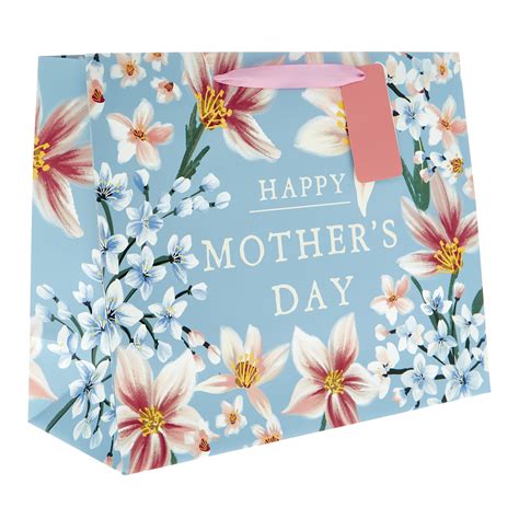 Buy Large Landscape Botanical Mother's Day Gift Bag for GBP 1.49 | Card ...