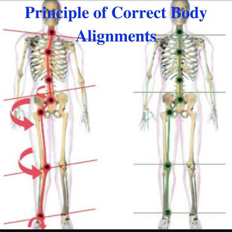 Image result for Body Alignment Master Ang