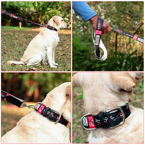 Adil’s Cotton Printed Dog Collar & Leash Combo Set – 1.5" Wide Adjusta ...