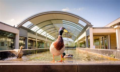 WAKEHURST (2026) All You Need to Know BEFORE You Go (with Photos ...