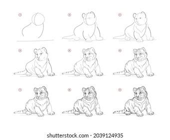 How To Draw Realistic Animals Step By Step For Beginners