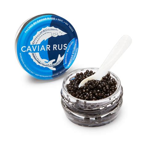 Sturgeon Fish Caviar Price