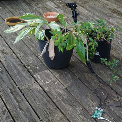 Deep Learning Arduino Camera 的图像结果