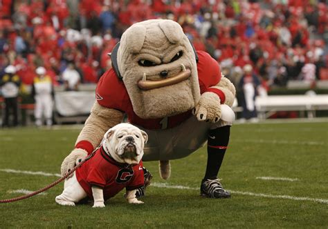 How Many College Basketball Teams Have A Bulldog Mascot