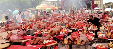 Sacrifice de cochons en Chine — Chine Informations