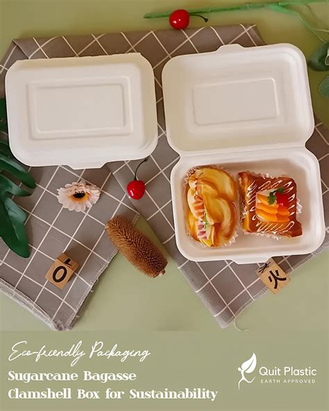 Eco-friendly Sugarcane Bagasse Clamshell Bento Takeaway Boxes: A ...