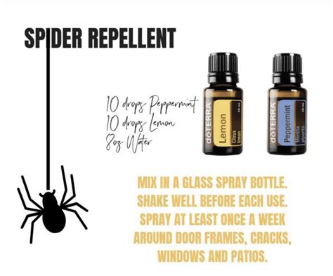 Spider Repellant EO Blend Spray | Doterra essential oils recipes ...